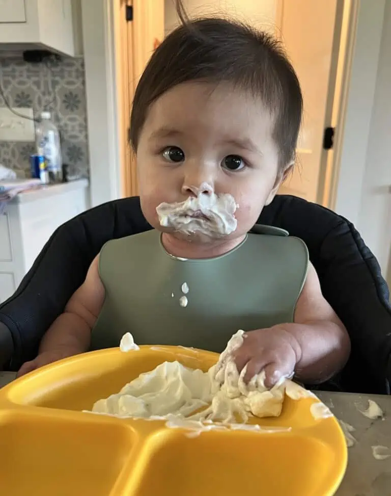 Baby Led Weaning 101: What is it and When to start