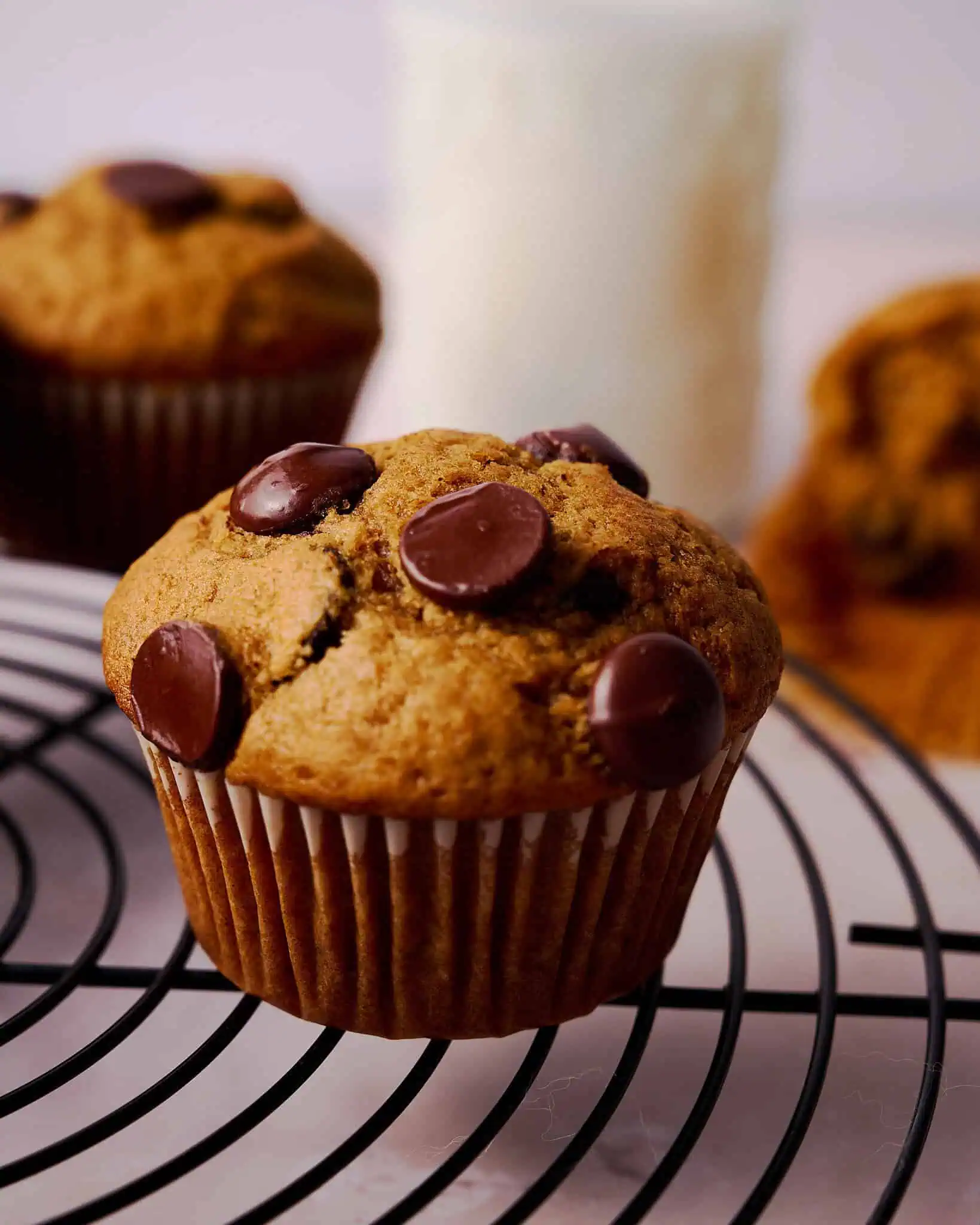 Cookies with chocolate chips on a cooling rack, inviting baked goods, perfect for bakery or dessert recipes, delicious treat.